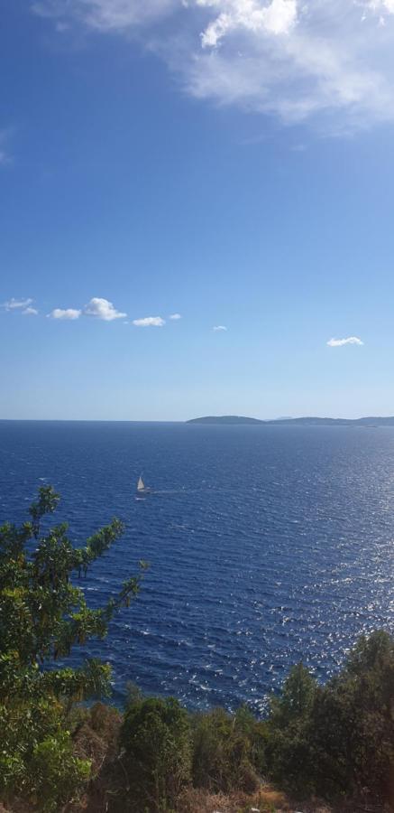 Maestral * Orebic
